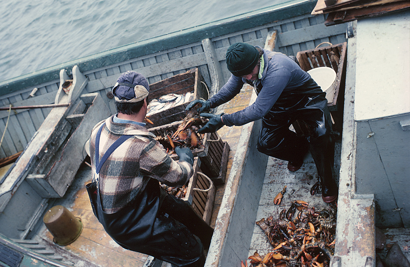 EPA delays stricter standards for new lobster boat engines