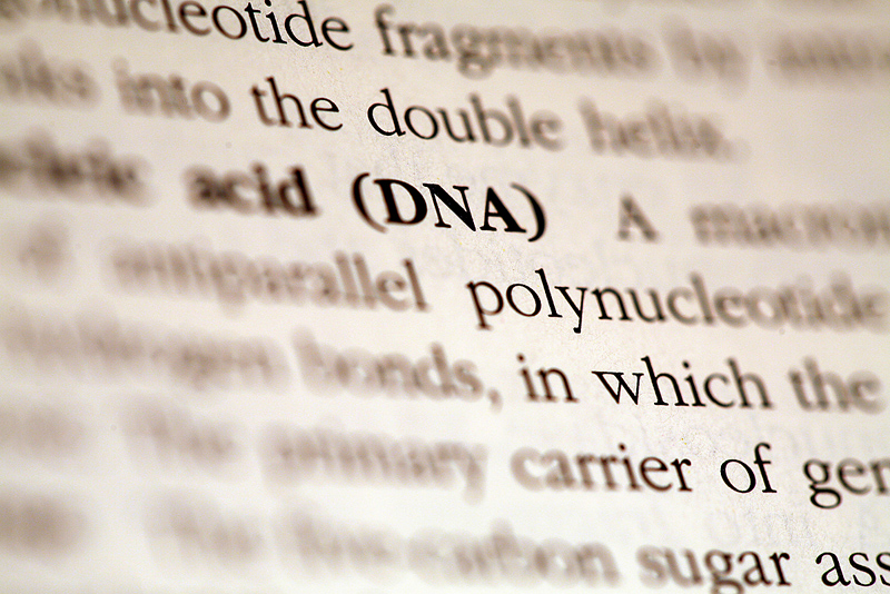 NSF funds Maine project focused on coast, environmental DNA