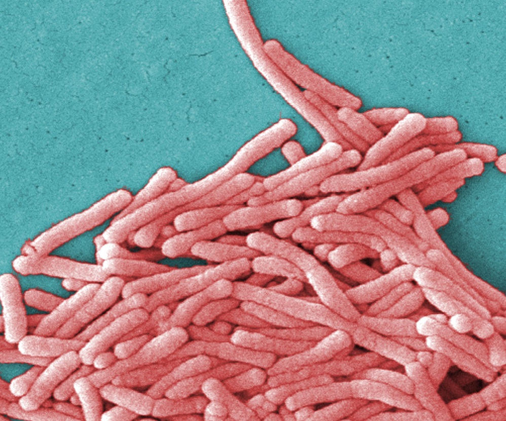 Maine CDC: Legionella bacteria eliminated from water source