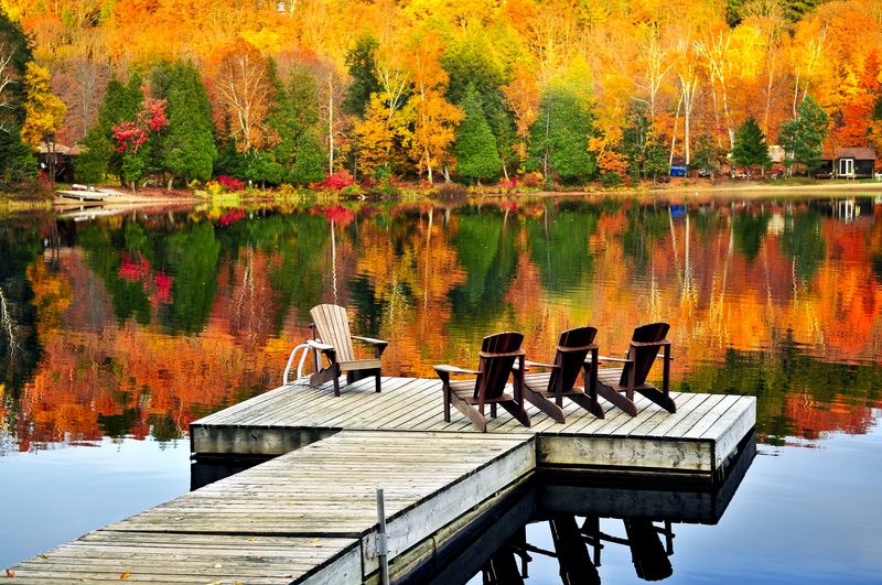 Leaf peepers could peep for science with Acadia climate work