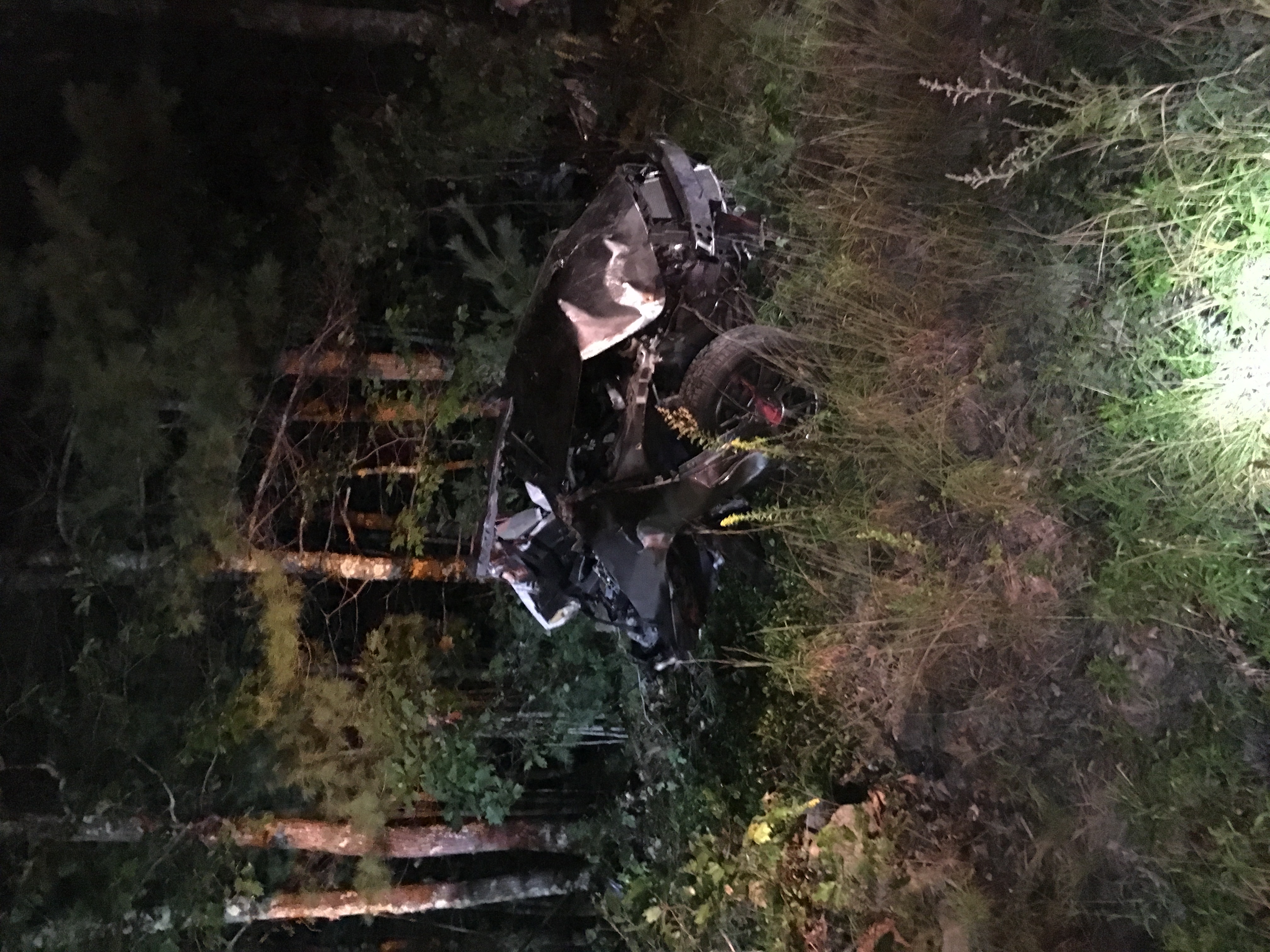 Driver dies in crash into utility pole, tree, that split car