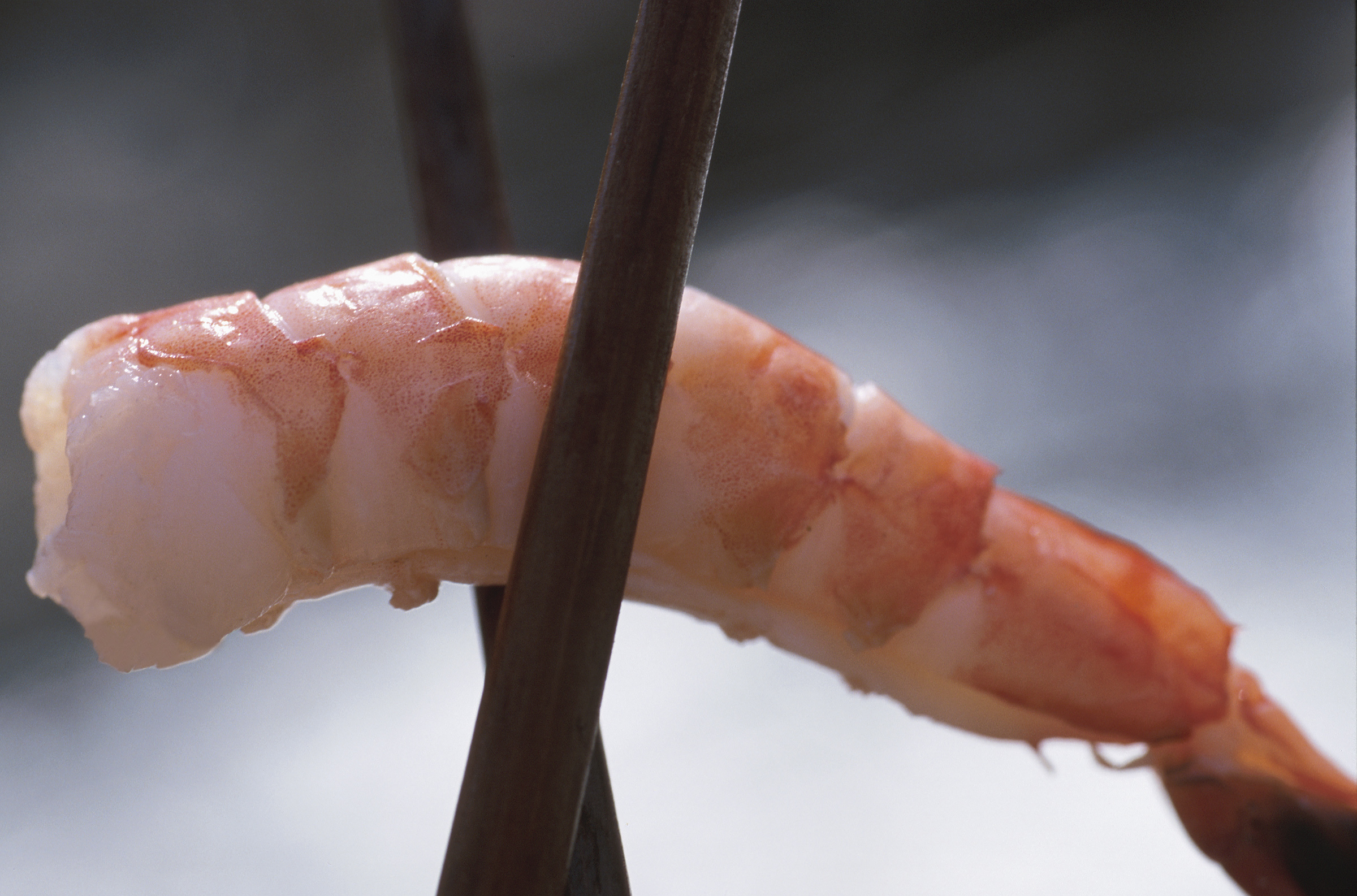 Warming waters spell more bad news for New England shrimp