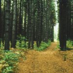 State Officials Are Looking For Public Comments On a Plan Regarding Outdoor Recreation Areas
