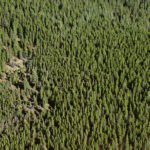 Conservation Groups say They’ve Permanently Protected 1,400 Acres