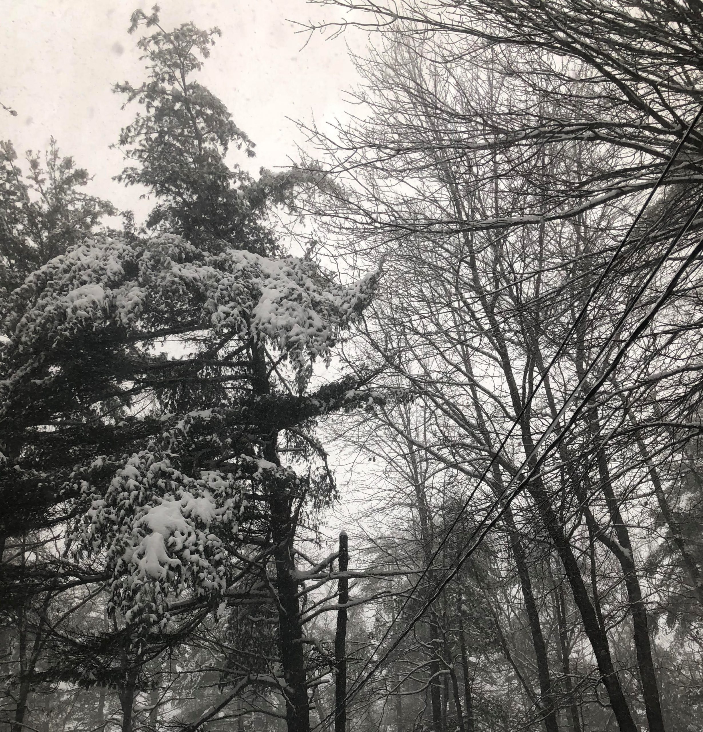 Late-season storm to bring snow to northern New England
