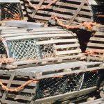 Maine gives Free Noncommercial Lobster Fishing Licenses to Disabled Veterans