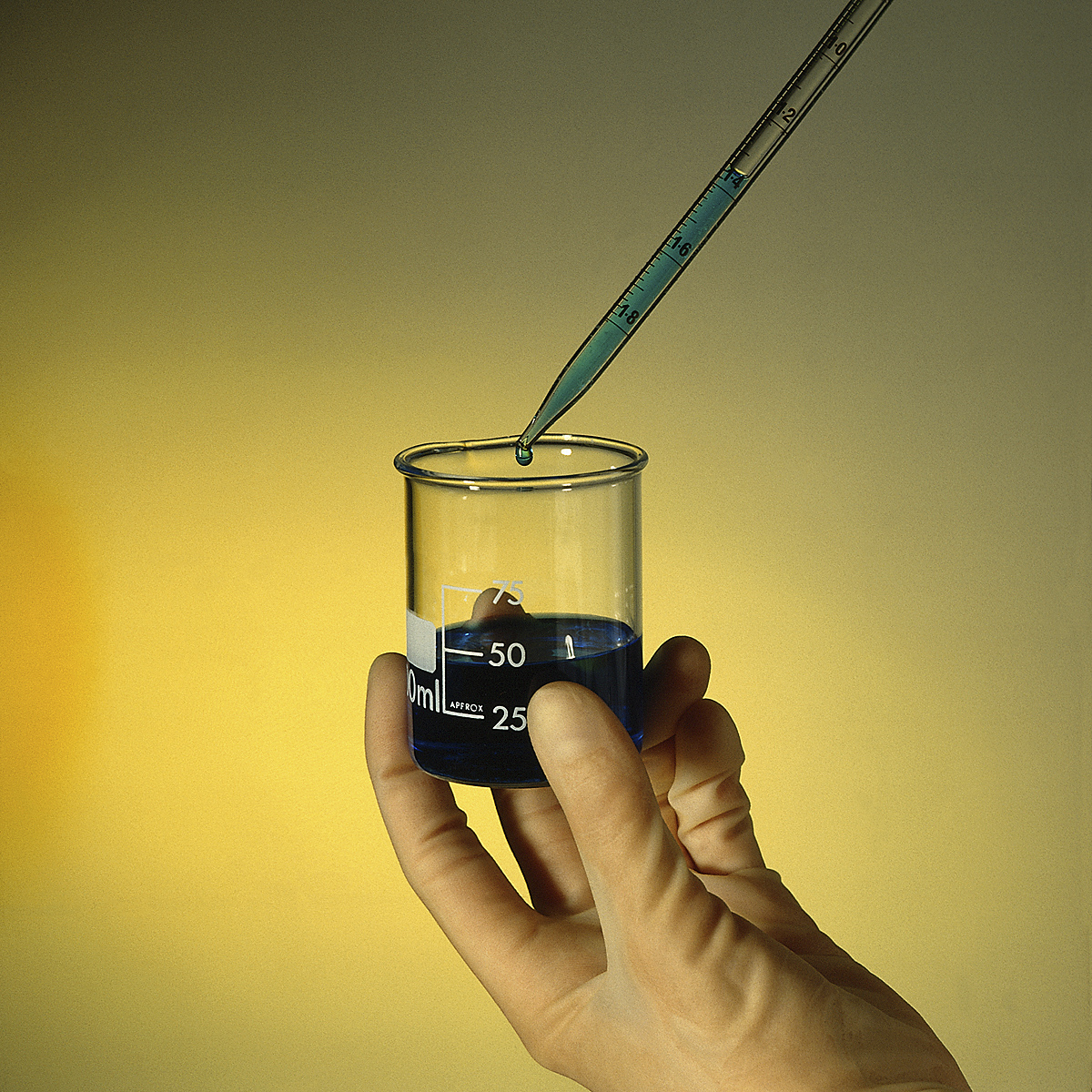 Jackson Laboratory awarded $2.8 million for genetics research