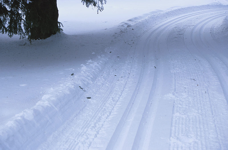 Wardens: Maine man dies in Mapleton snowmobile crash