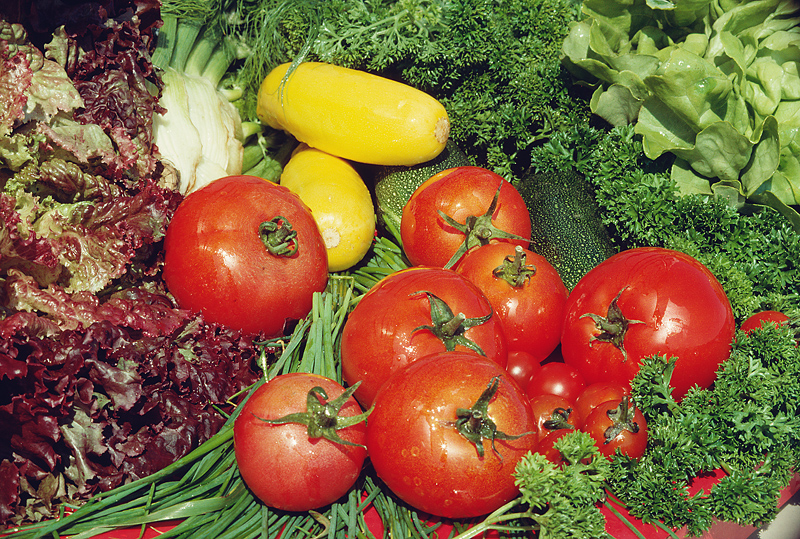 Maine to make farmers markets more accessible to SNAP users