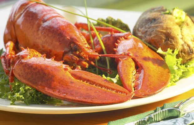 Marianne Lacroix- Maine Lobster Week Marianne Lacroix- Maine Lobster Week