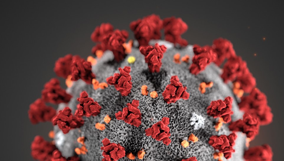 39 New Coronavirus Cases, 1,028 Recoveries