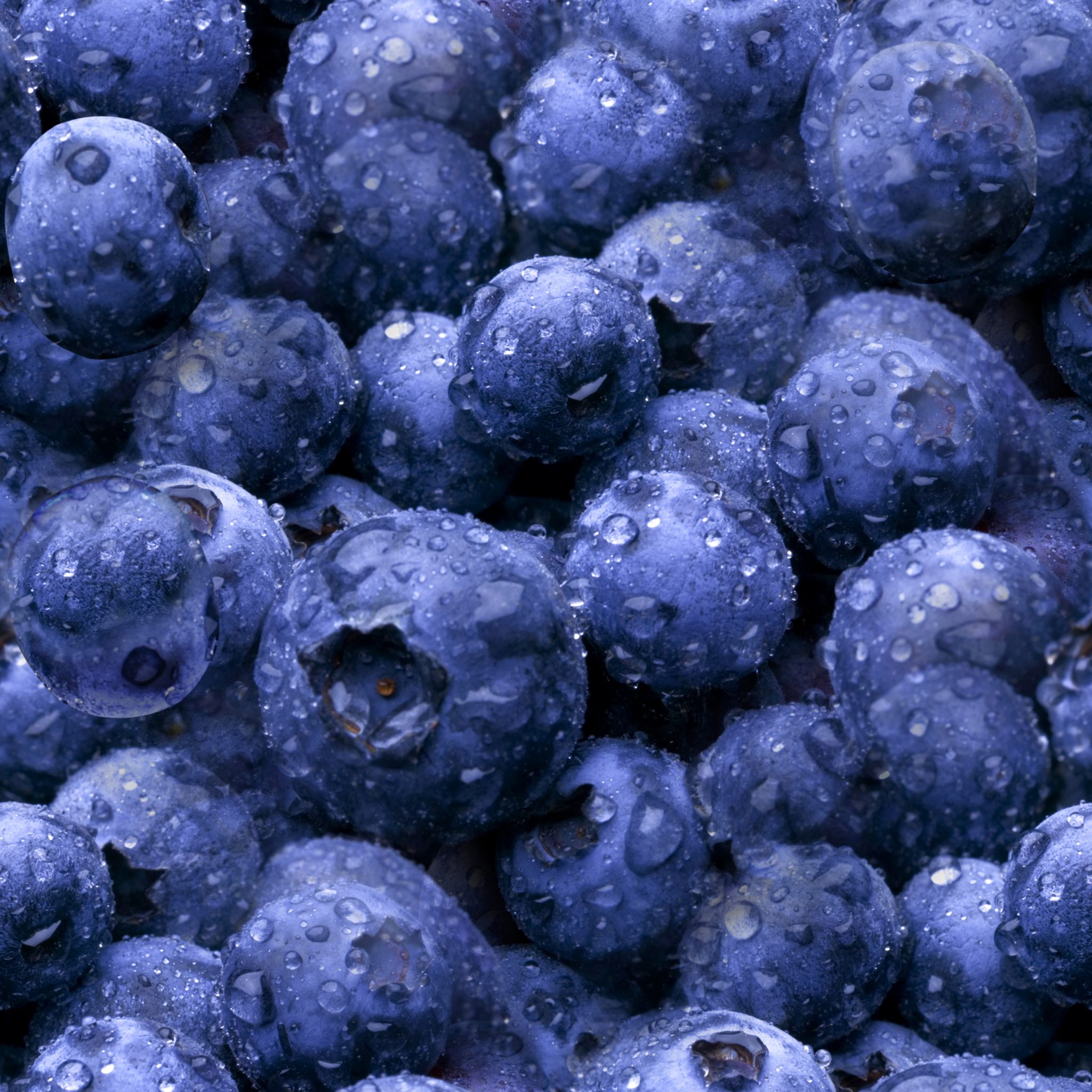 Maine to celebrate blueberry crop on second August weekend 98.9 WCLZ
