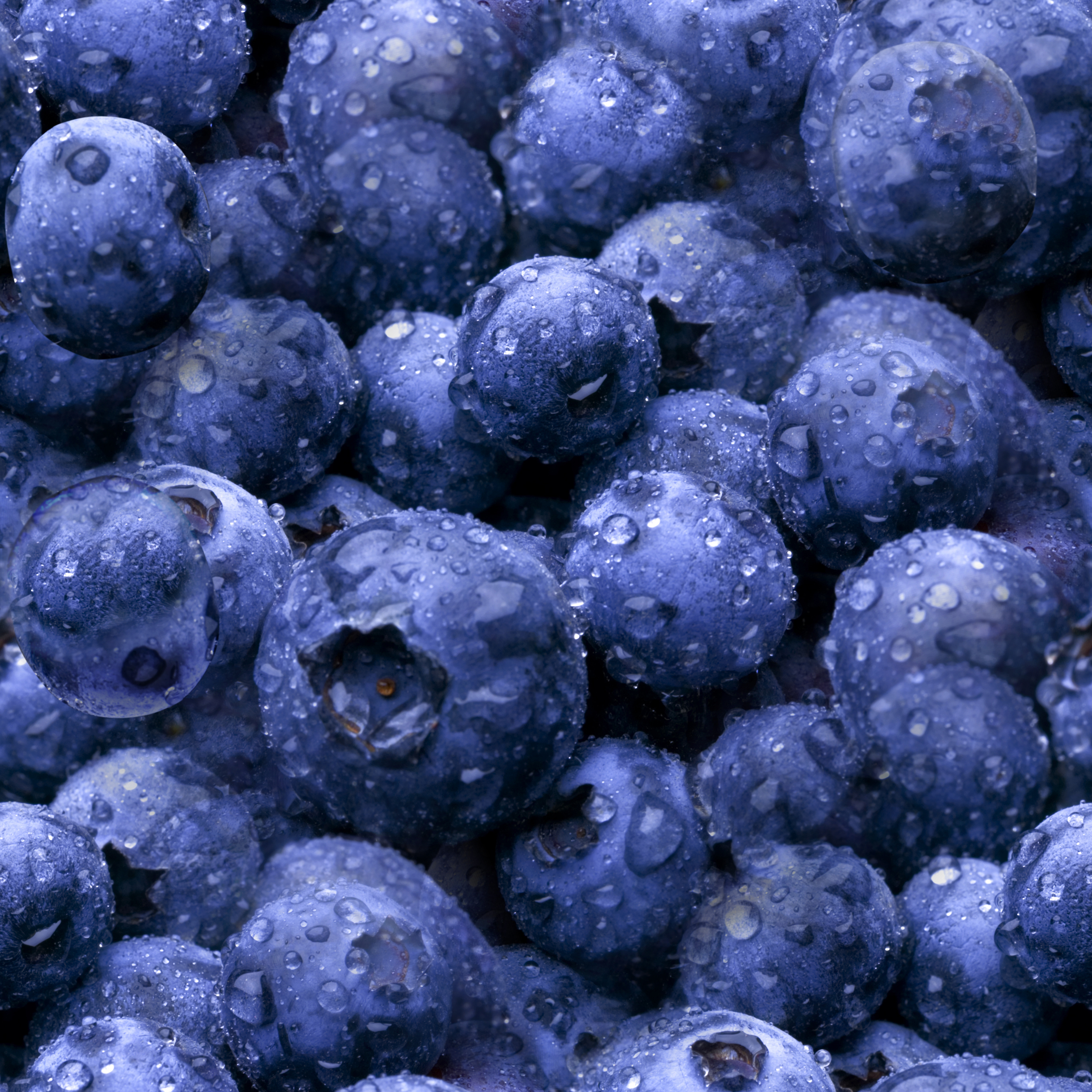 USDA says Maine blueberry growers had a big 2021