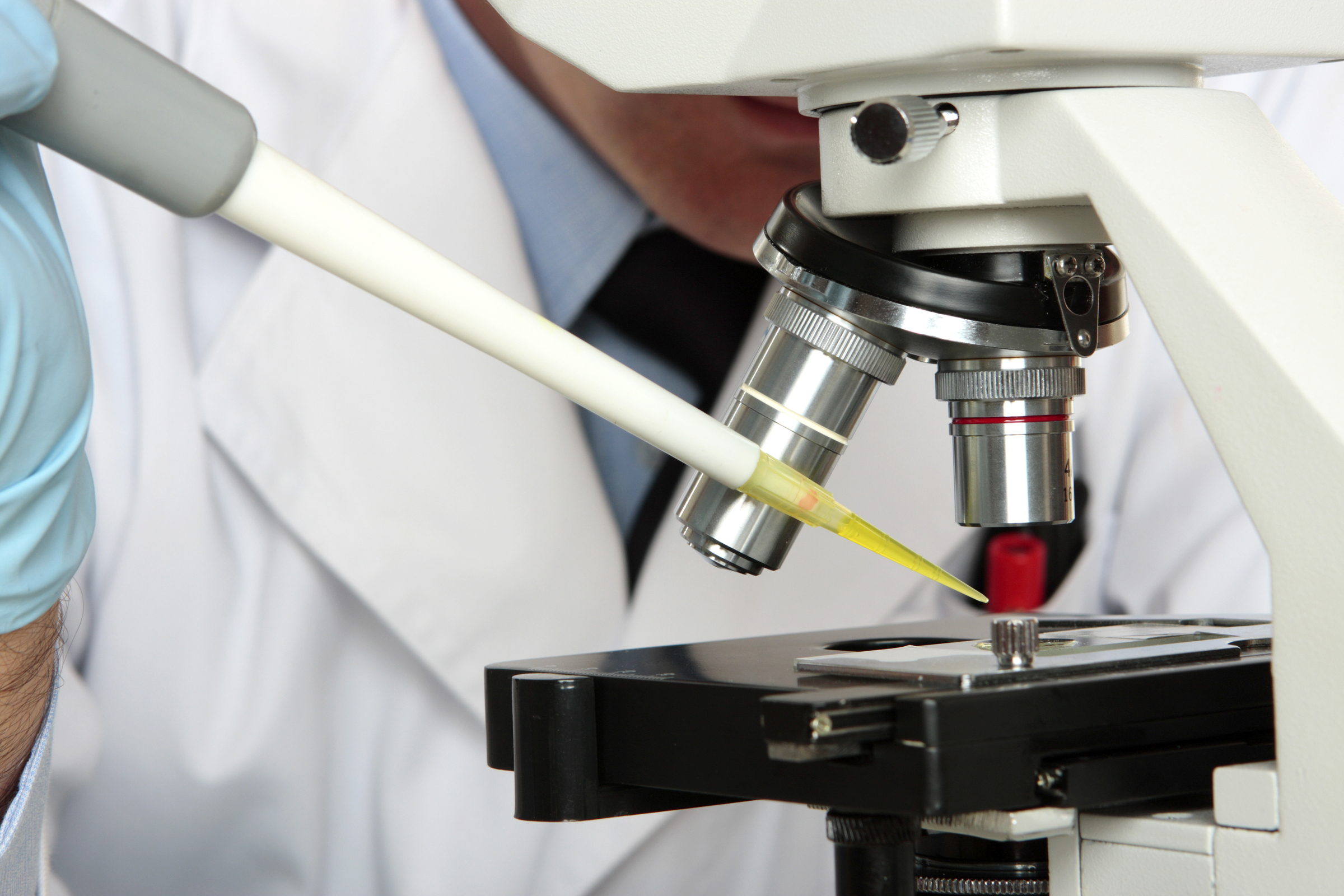 Maine lab to study blood condition that puts seniors at risk