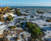 ocean