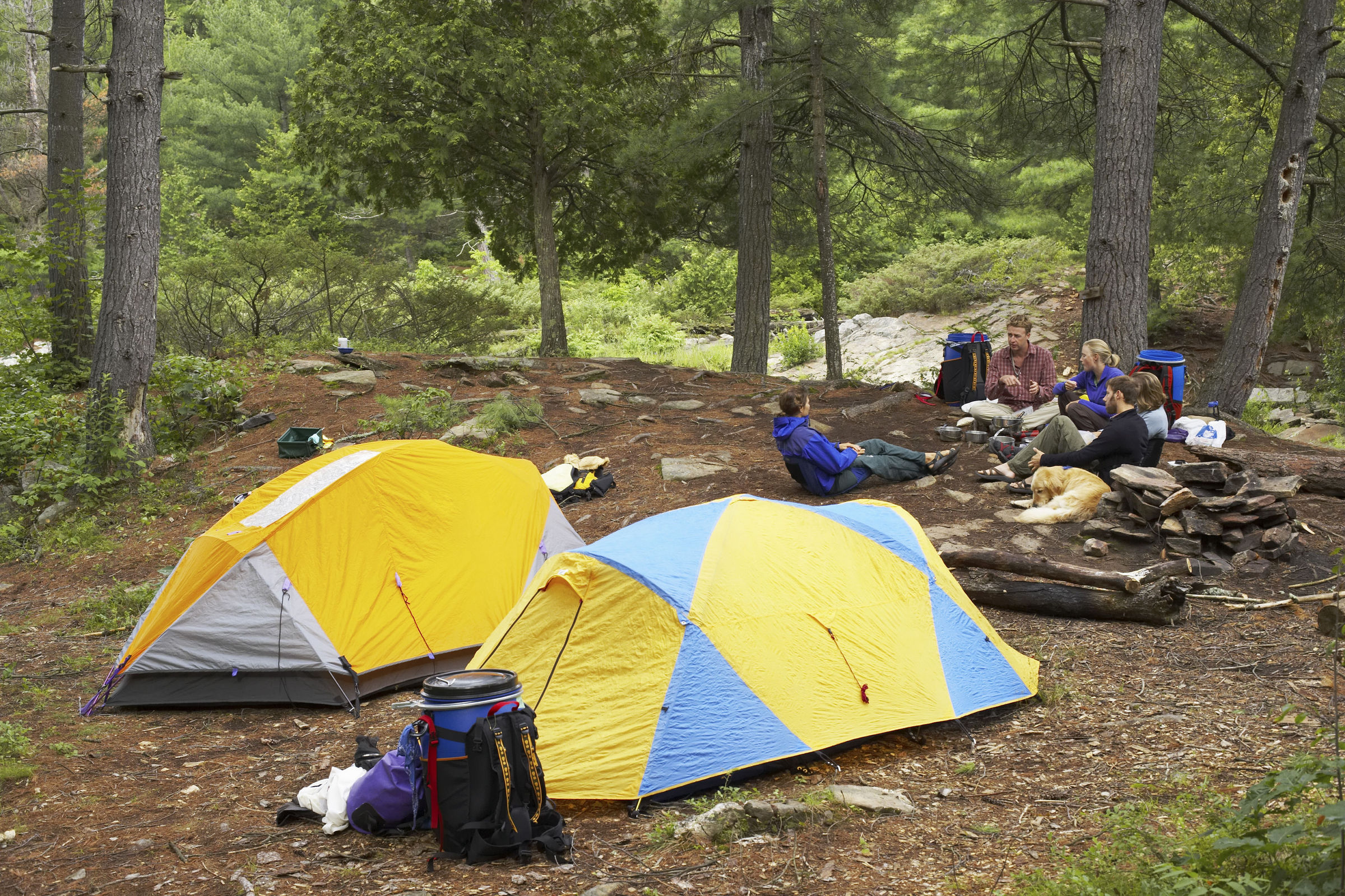 Record number of campers at state parks during pandemic