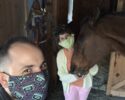Blixx Horses