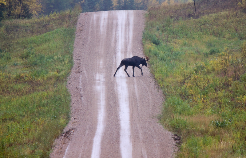 Sen. Collins thinks its time for the Maine-Canadian border to open back up