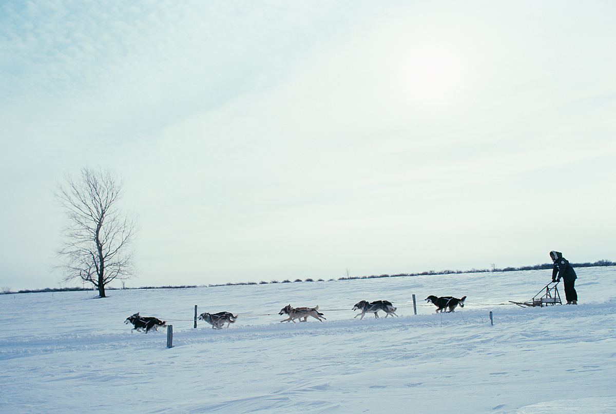 Pandemic forces cancellation of Maine sled dog races