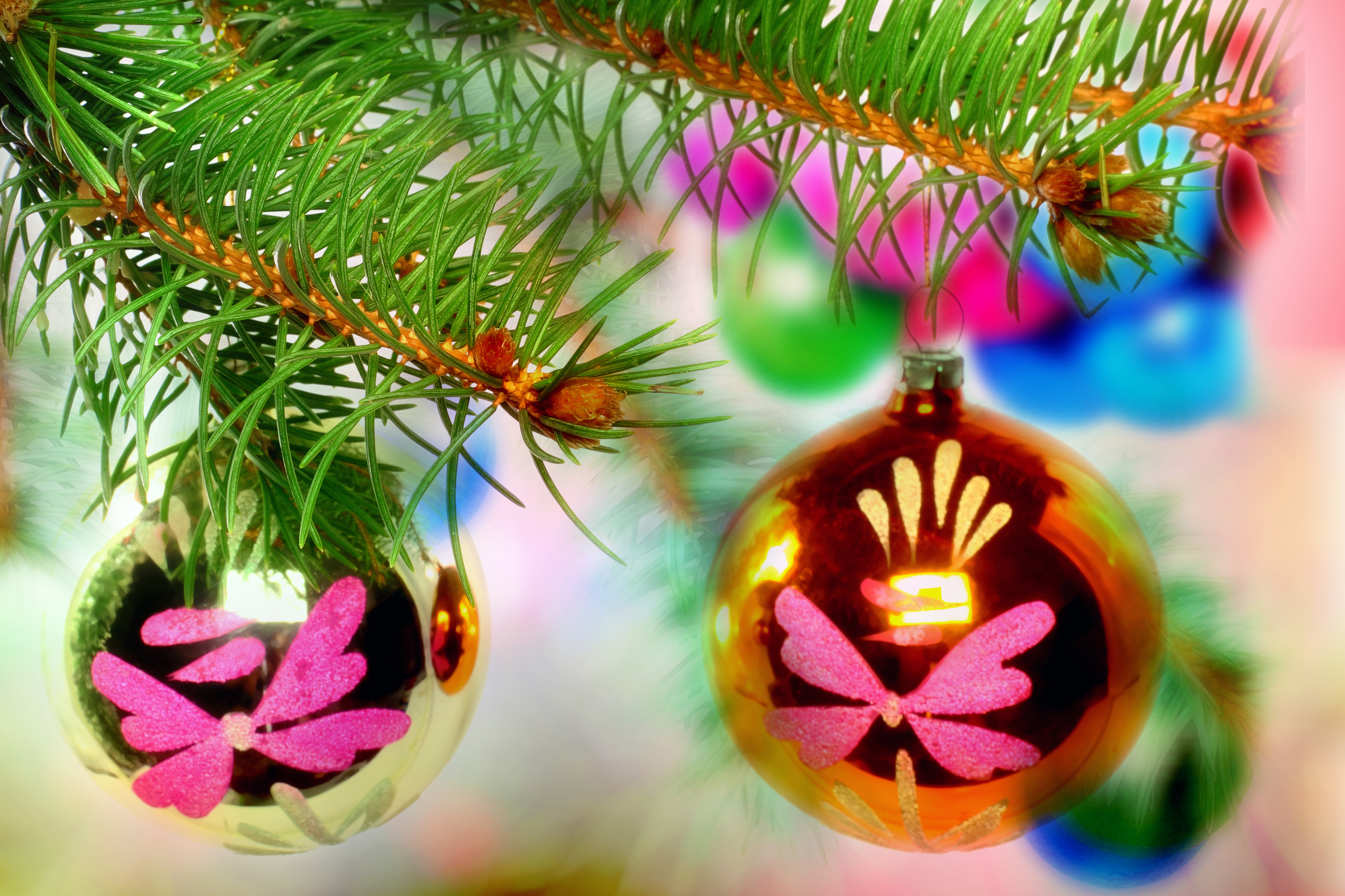 Maine wants wreath hangers to spread joy, not pests