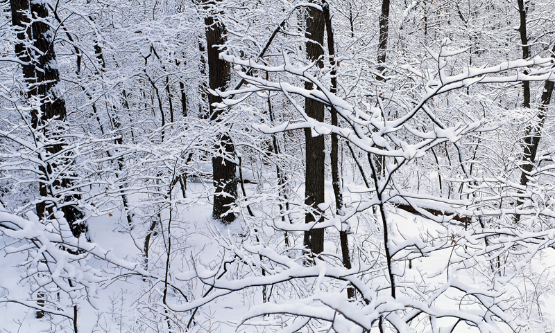 Small snow storm settles into Maine Sunday afternoon