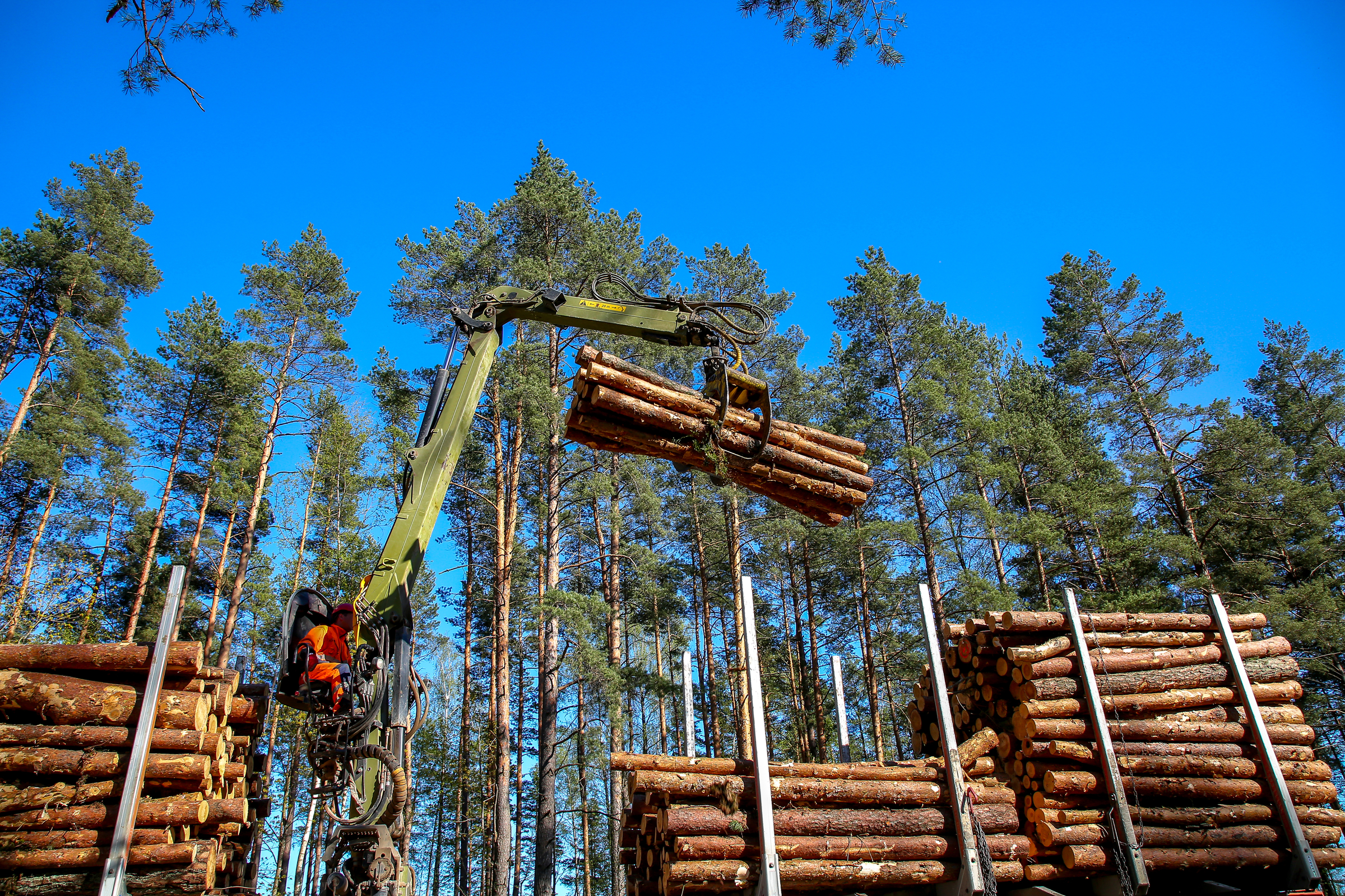 Apprenticeship act to include Maine lobstermen, loggers