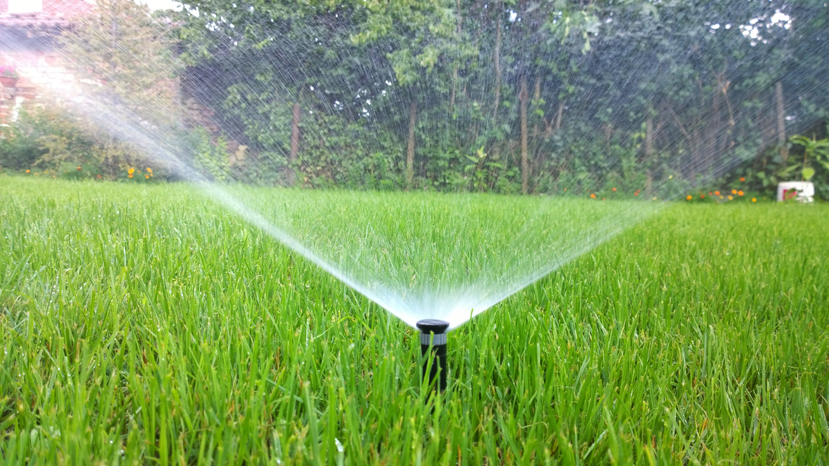 Drought prompts ban of outdoor water use in South Berwick