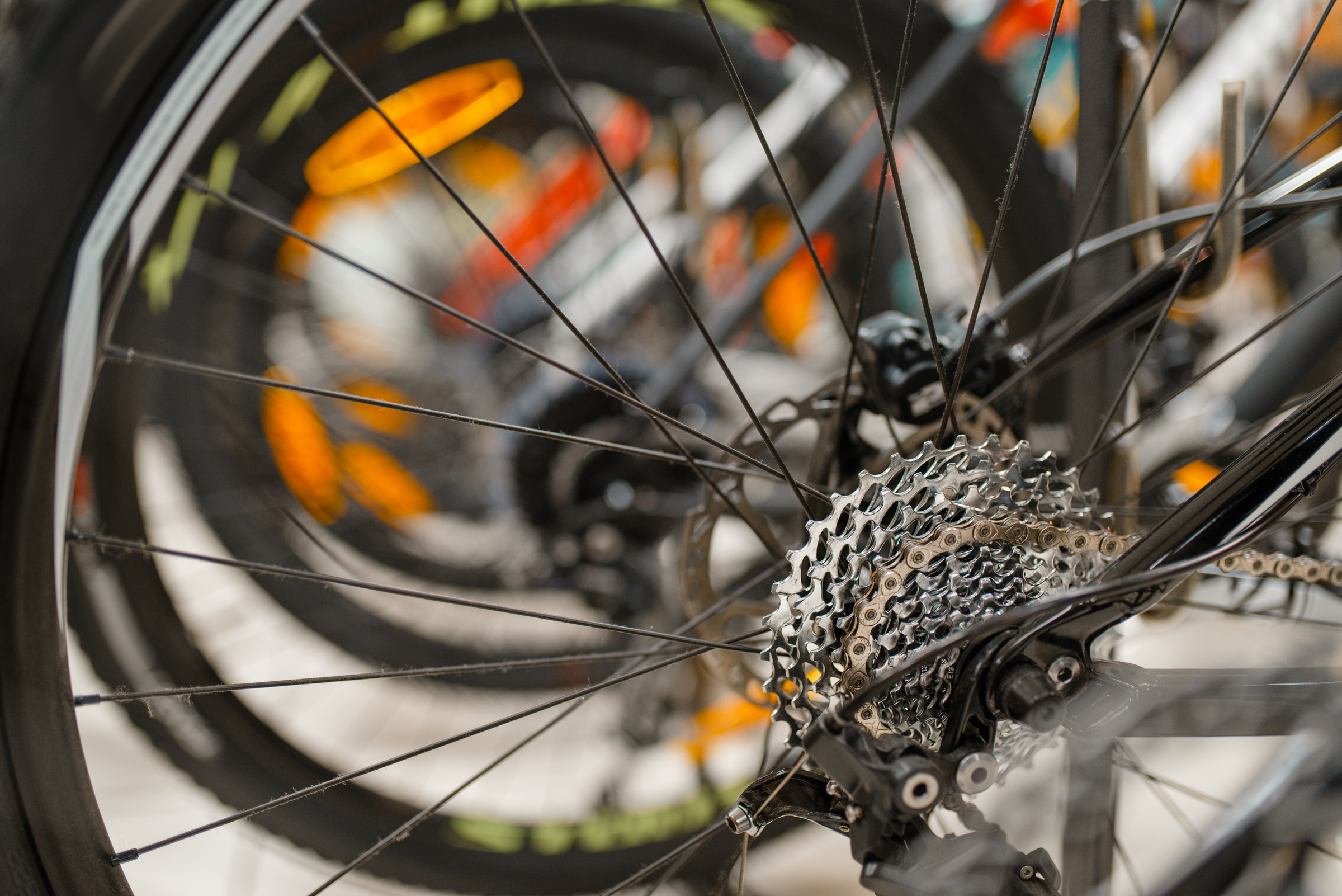 Coast to Coast Charity Bike Ride to End in Portland