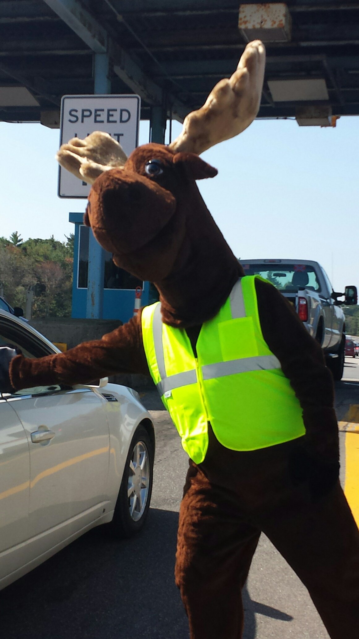Miles the Moose bids adieu to summer travelers in Maine