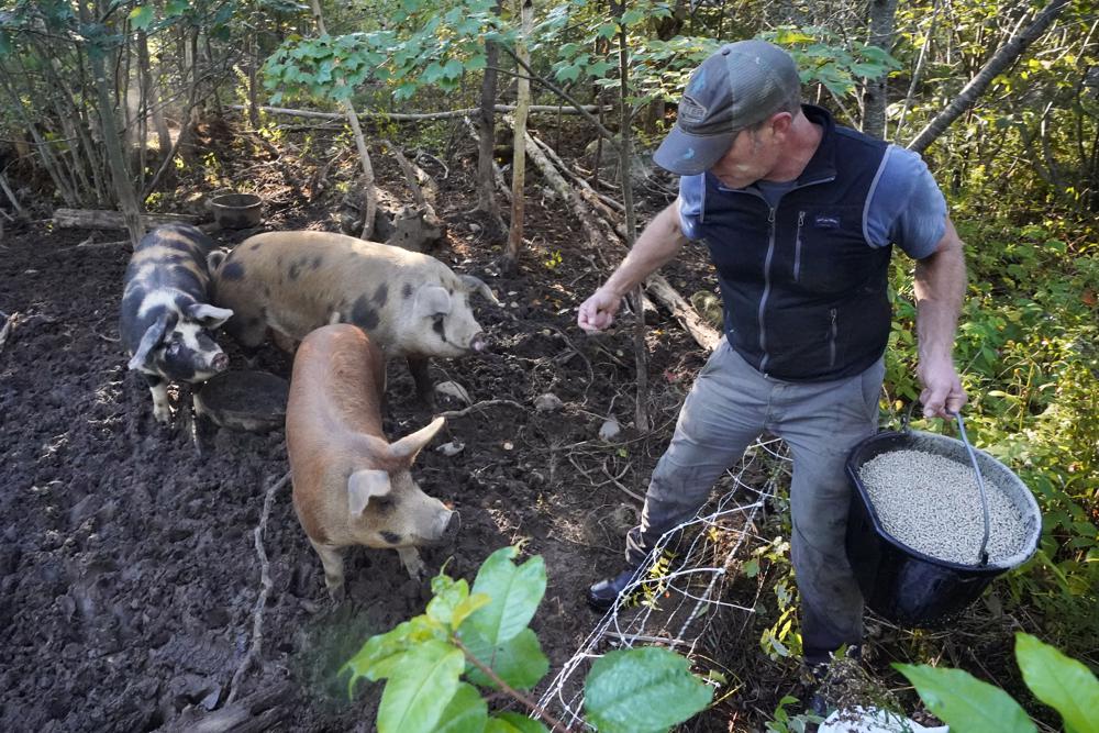 Is there a constitutional right to food? Mainers to decide