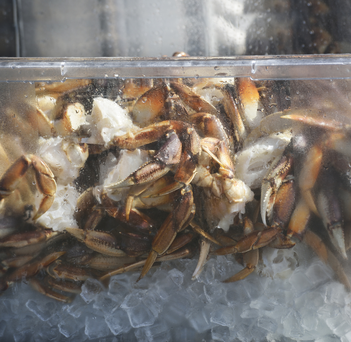 Maine health officials investigate salmonella outbreak linked to crabmeat