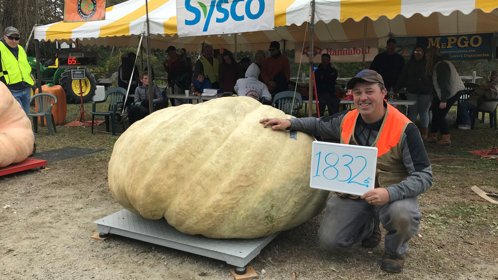 No Pumpkinfest regatta as event is scaled down this year