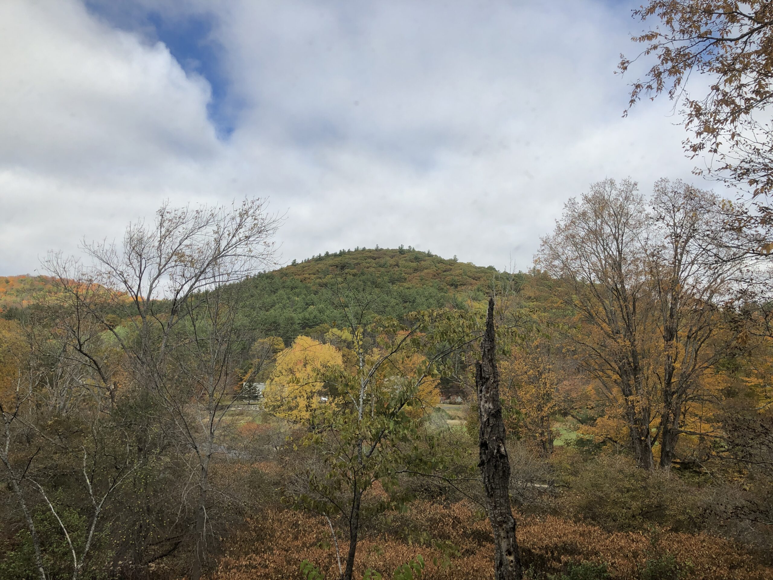 Final peak foliage conditions for Maine leaf peepers