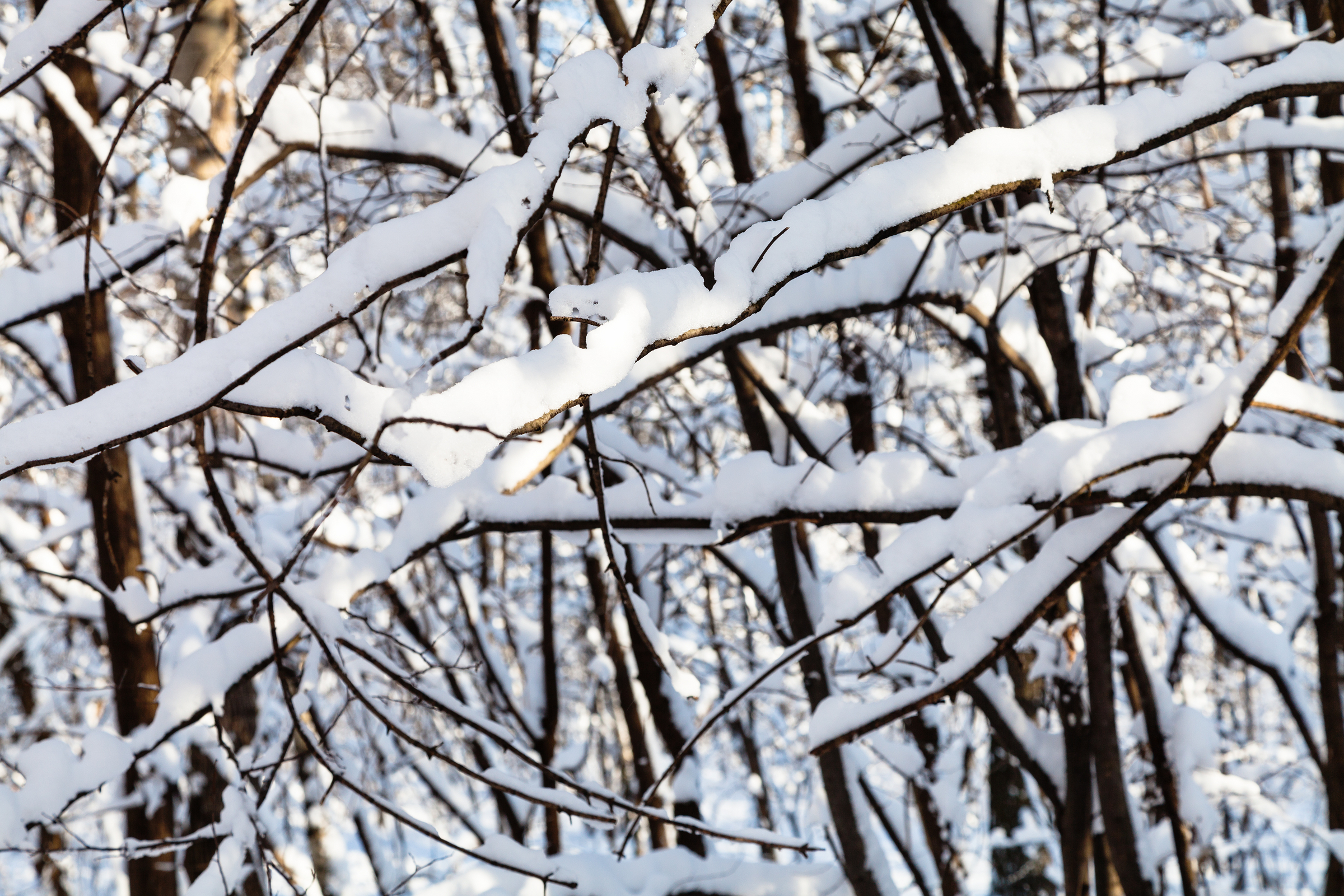 For states with cold winters: More aid but also rising costs