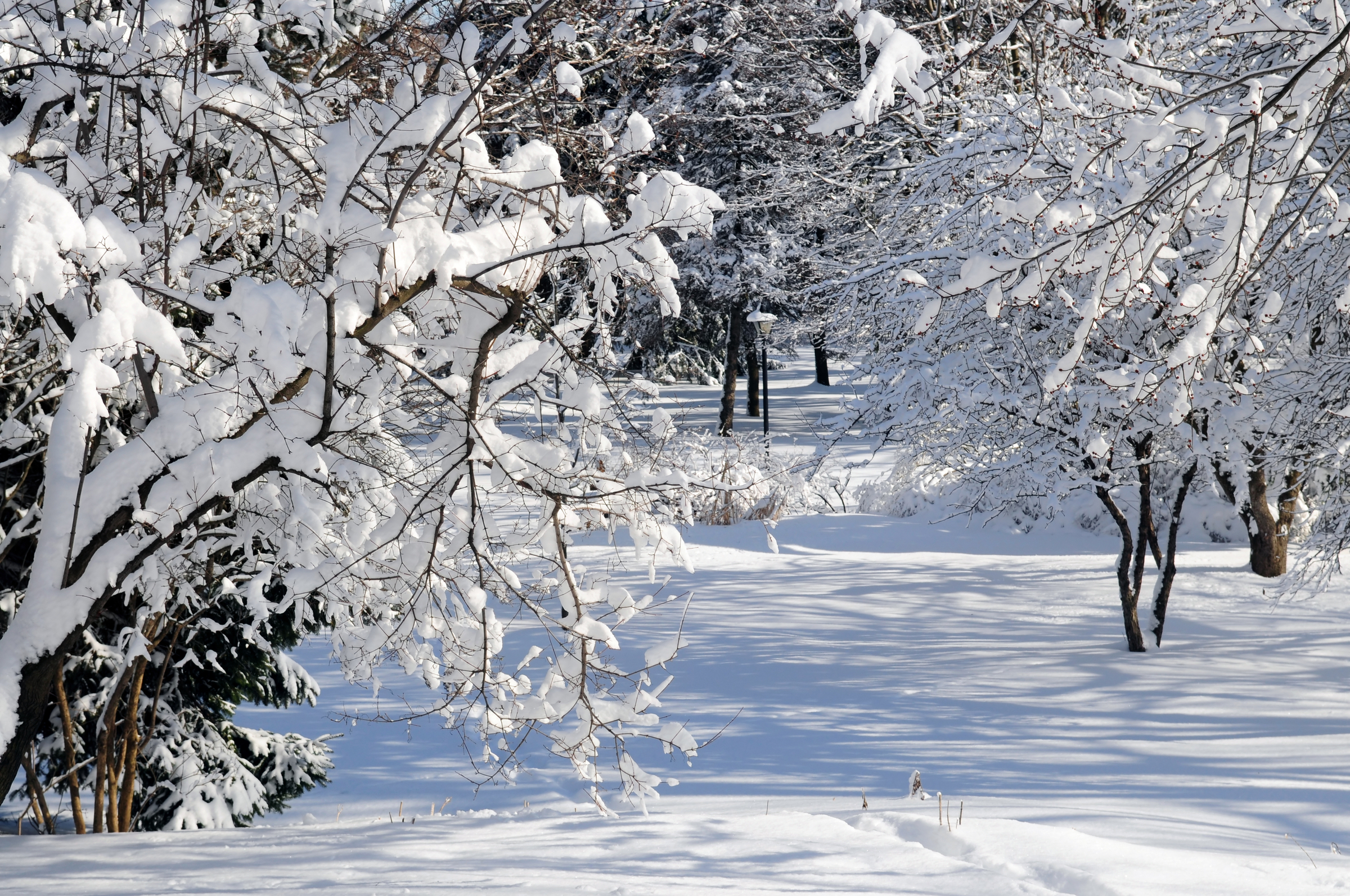 Early December storm in Maine leads to school closures, power outages