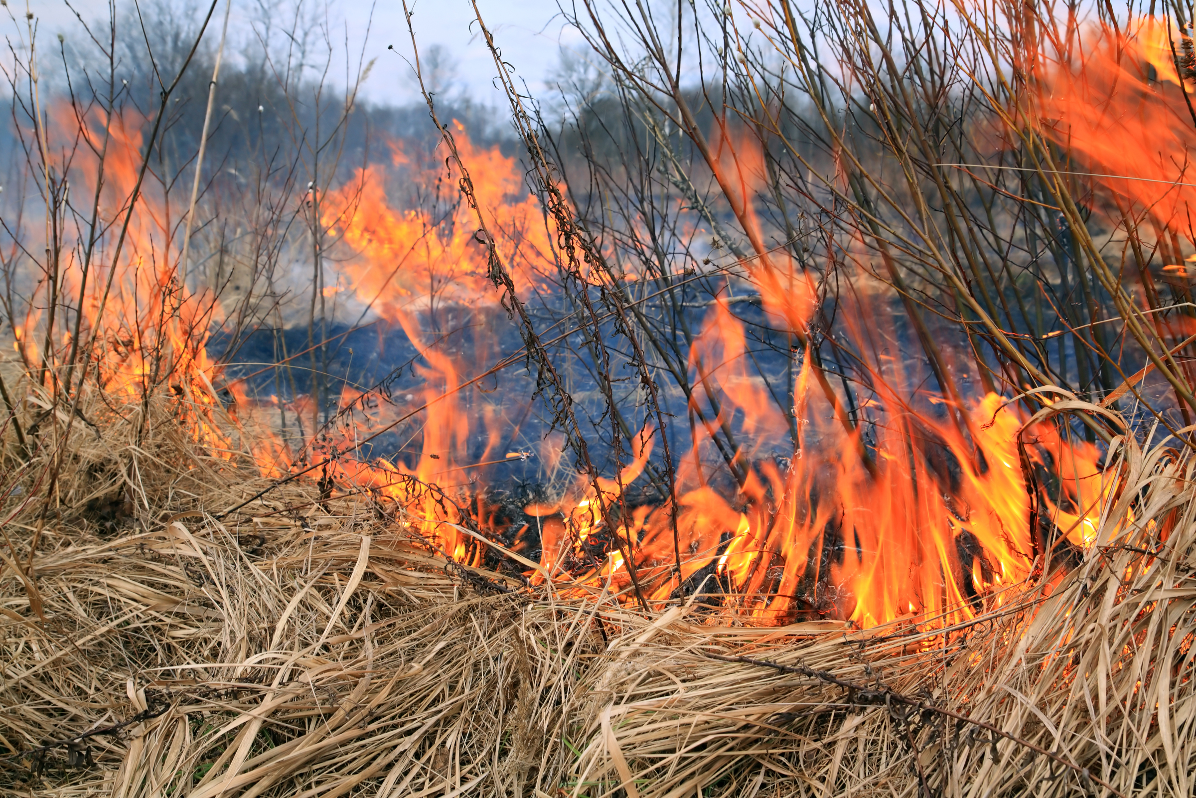 Maine to help fire departments fight fires on wild lands