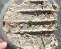 Matt's Chicken Salad