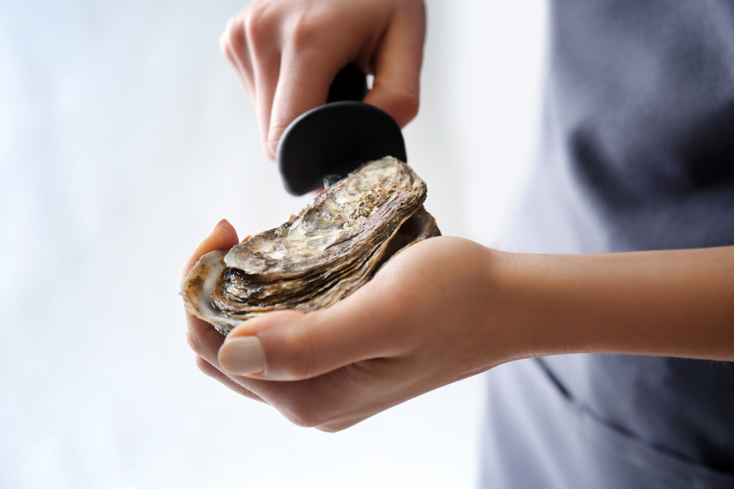 Shellfish attitude in lobster land: Maine oysters boom