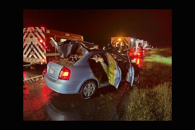 3 taken to hospital following car-moose collision in Scarborough