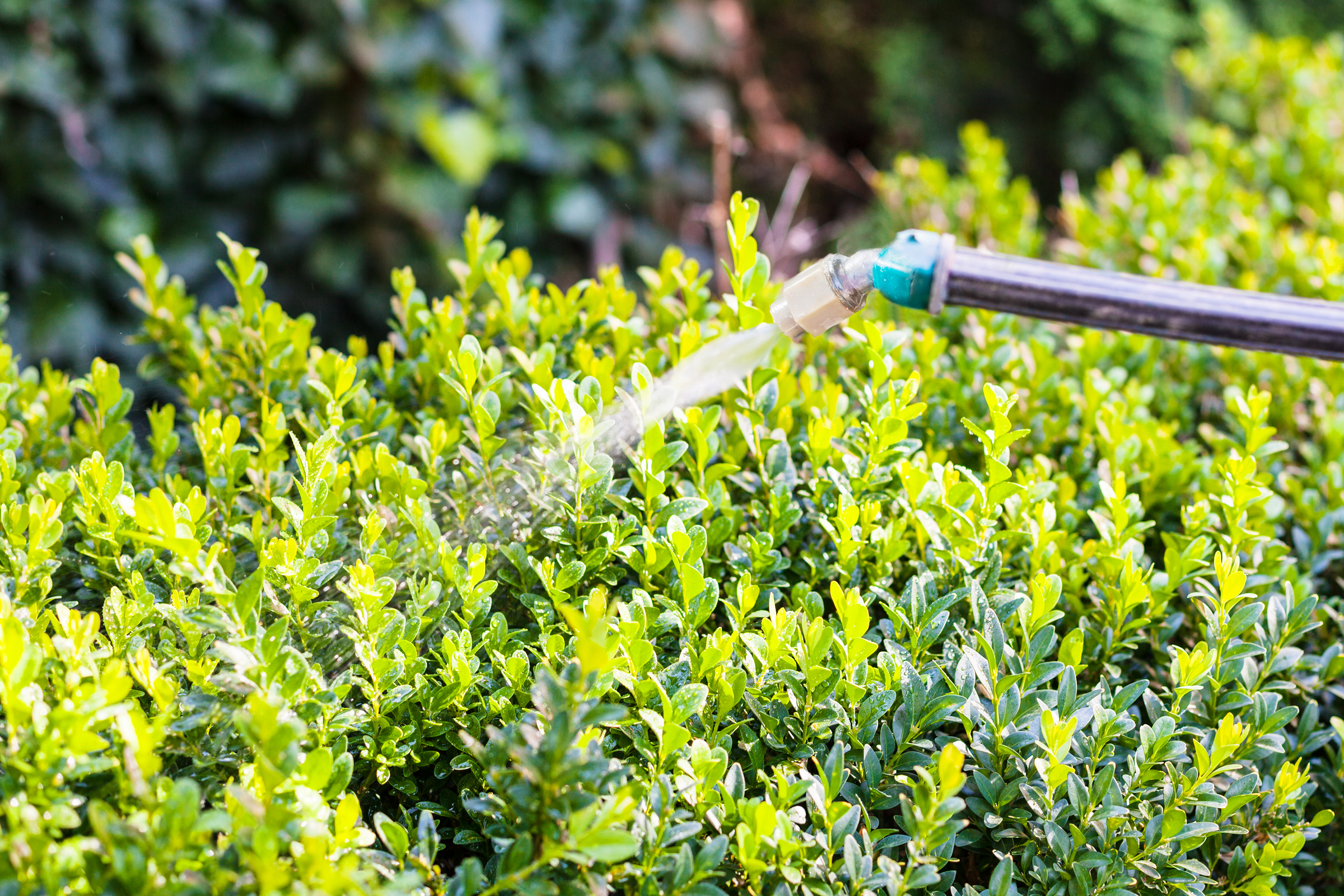 Mainers invited to dispose of unwanted pesticides