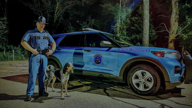 Police rescue missing dog following Ogunquit crash Police rescue missing dog following Ogunquit crash