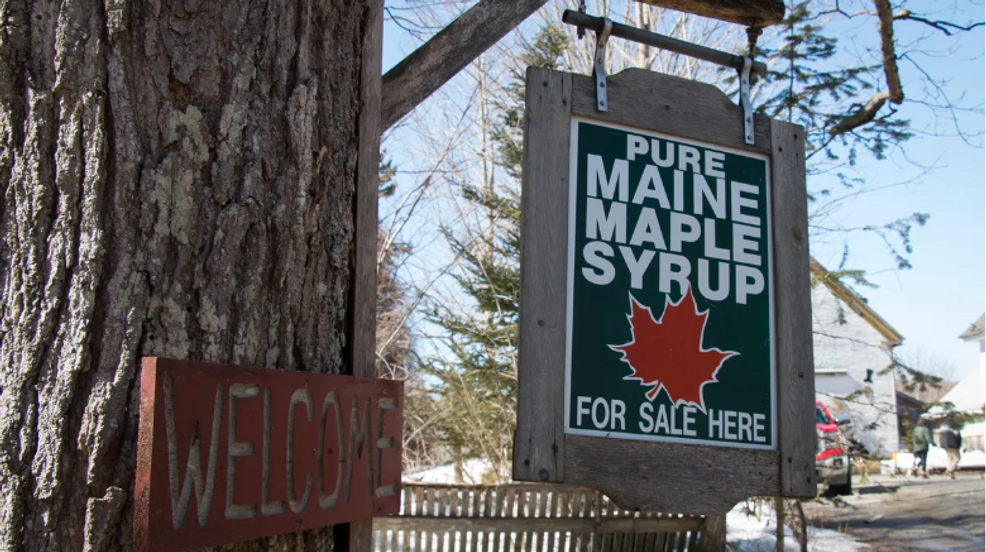 Maine Senators Behind Legislation for Maple Syrup Production