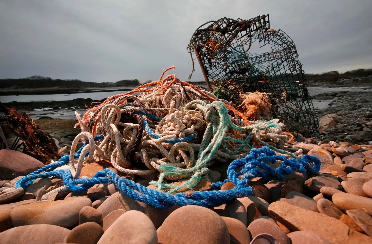 New federal program targets abandoned crab, lobster traps