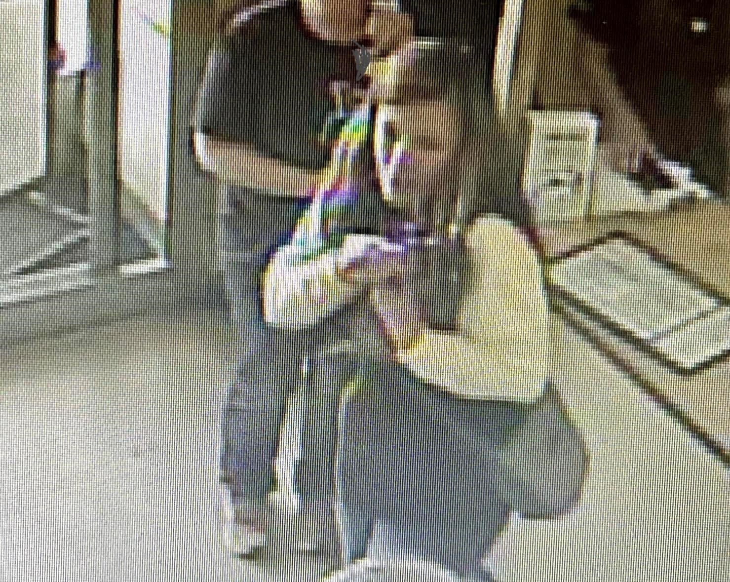 Police seek woman who brought raccoon to Maine Petco location to have nails trimmed