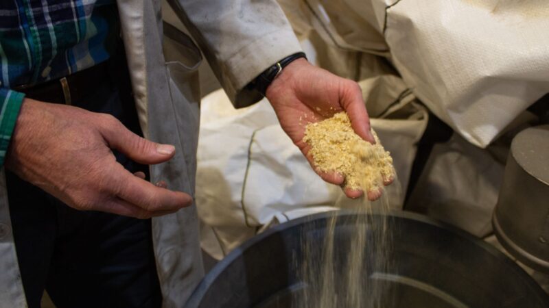 Hooked on heating oil: New wood heat options come with climate trade-offs