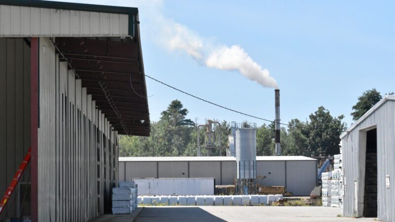 Forestry companies granted state funds despite environmental violations