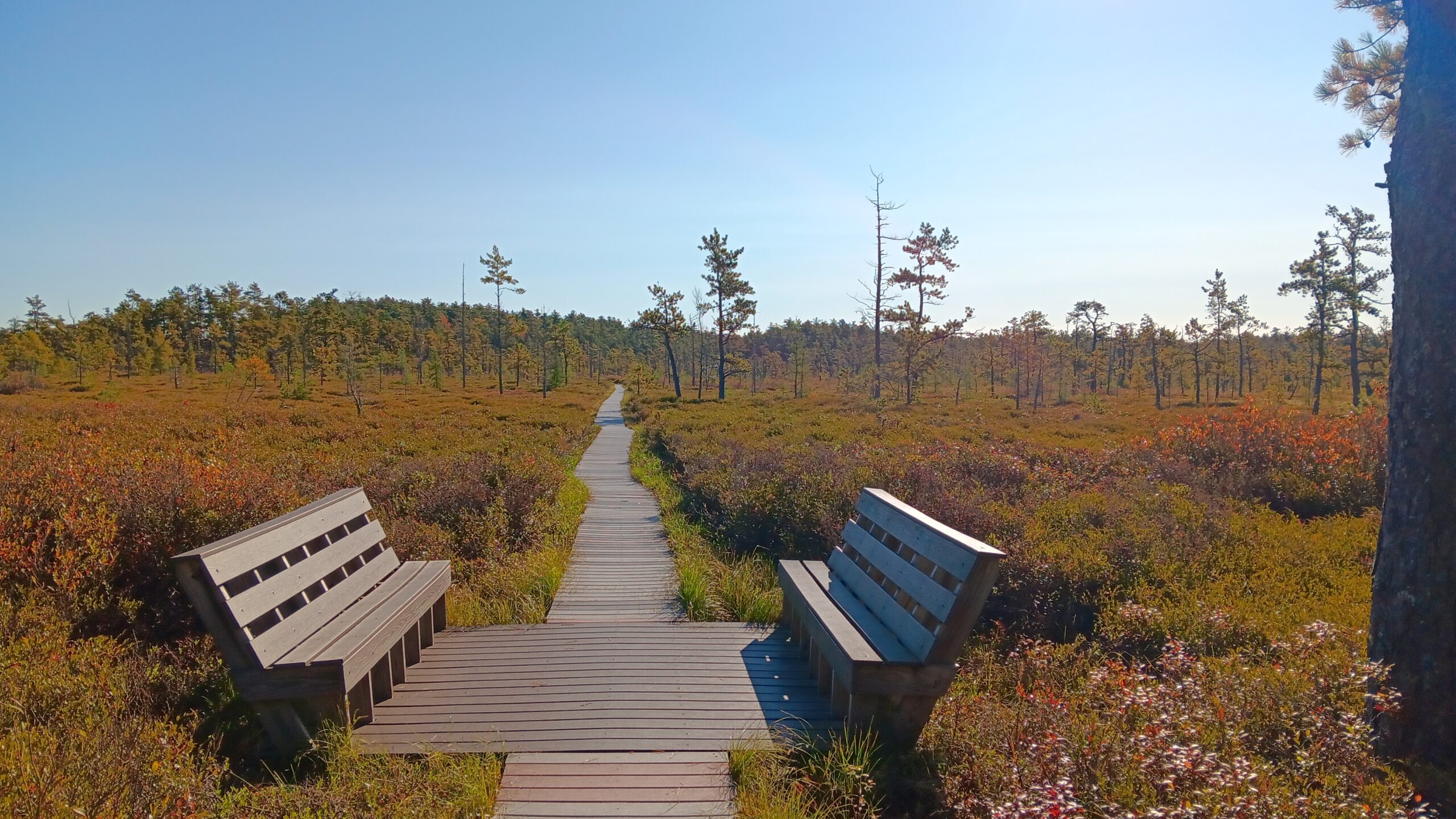 Maine Land Trusts Receive $65K in L.L. Bean Grants for Trail System Upgrades and Other Projects Maine Land Trusts Receive $65K in L.L. Bean Grants for Trail System Upgrades and Other Projects