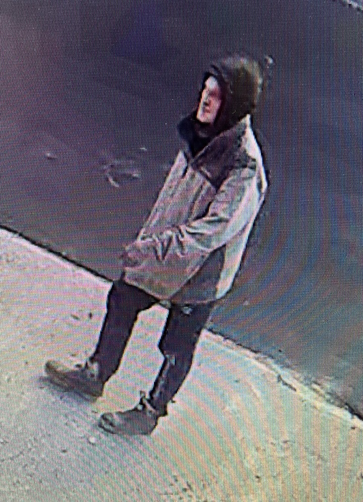 Person of interest sought in Portland vehicle burglary