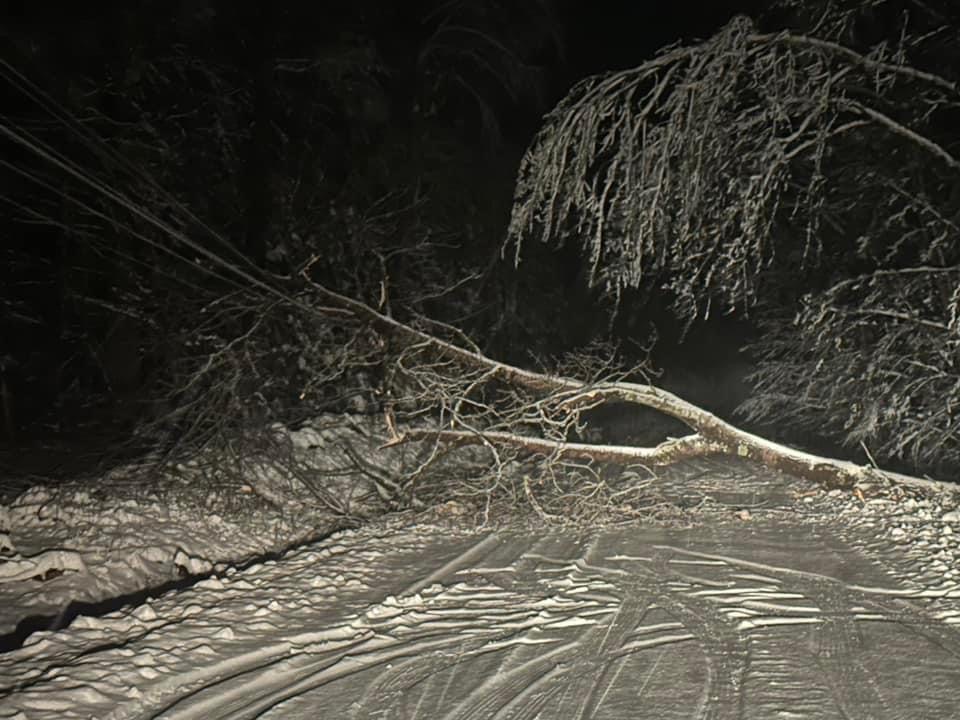 More Than 50,000 CMP Maine Customers Lose Power