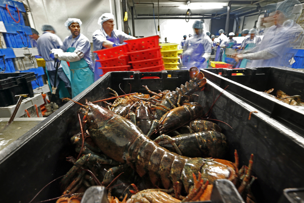 Tariffs could make for pricier fish in Maine